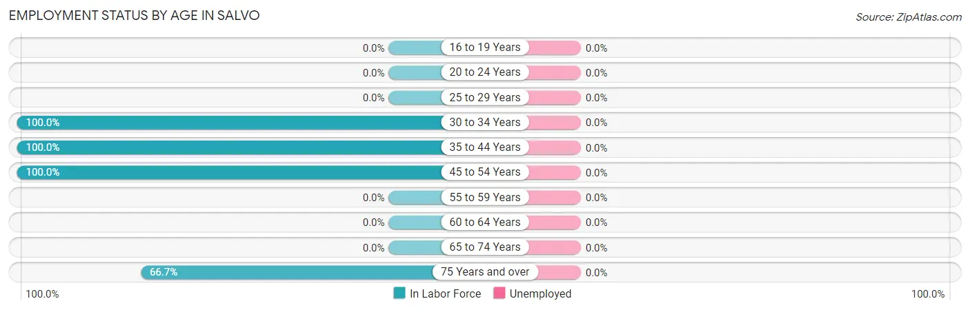 Employment Status by Age in Salvo