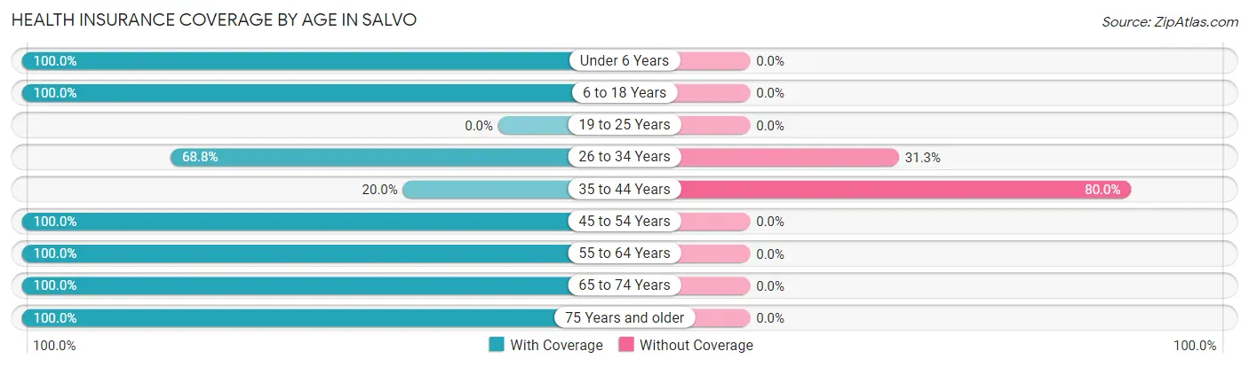 Health Insurance Coverage by Age in Salvo