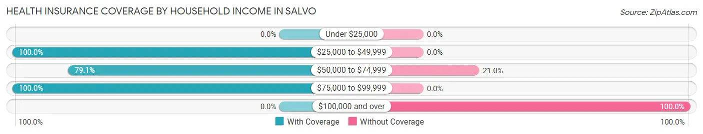 Health Insurance Coverage by Household Income in Salvo