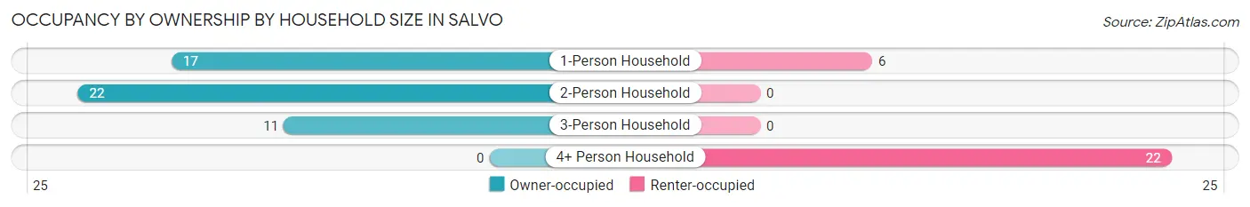 Occupancy by Ownership by Household Size in Salvo