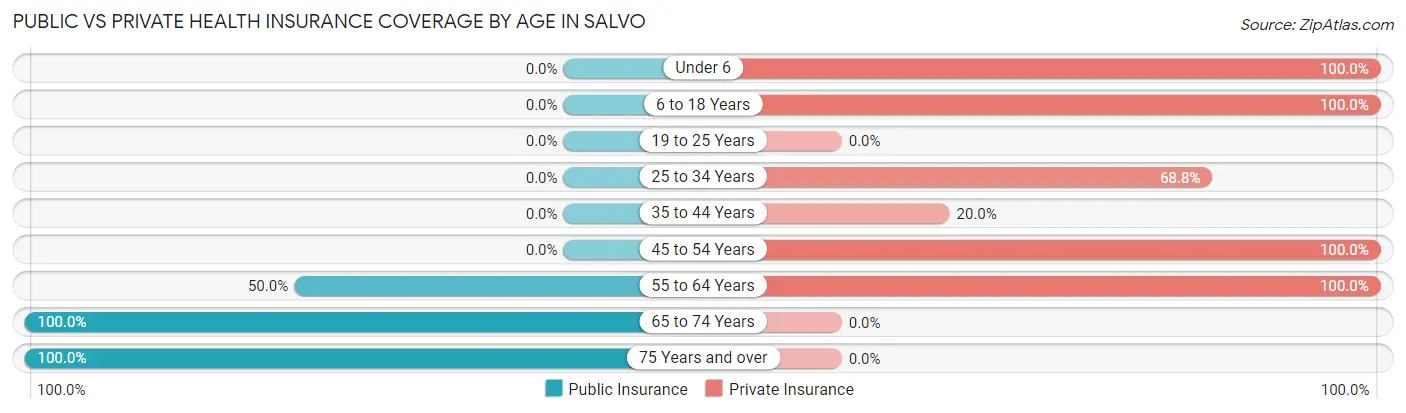 Public vs Private Health Insurance Coverage by Age in Salvo