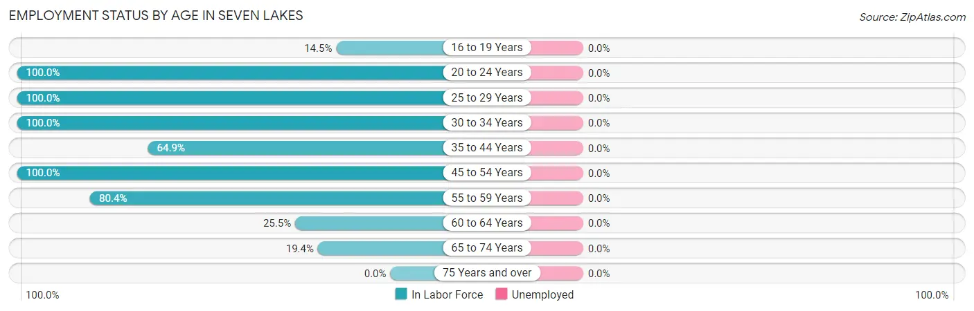 Employment Status by Age in Seven Lakes