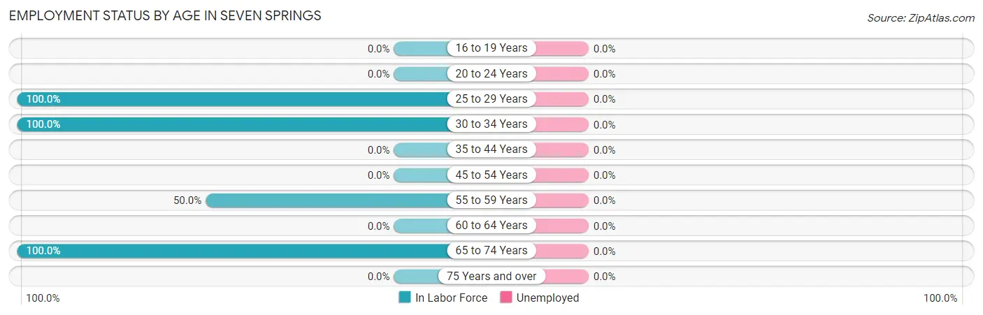 Employment Status by Age in Seven Springs