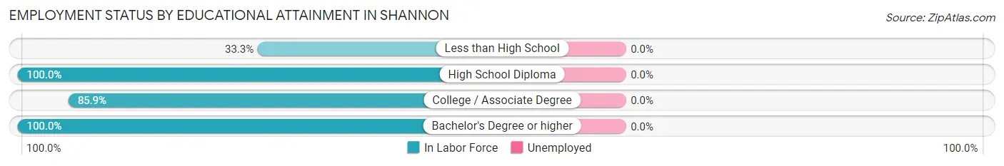 Employment Status by Educational Attainment in Shannon