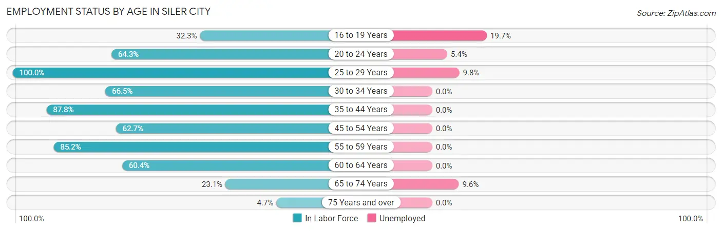 Employment Status by Age in Siler City