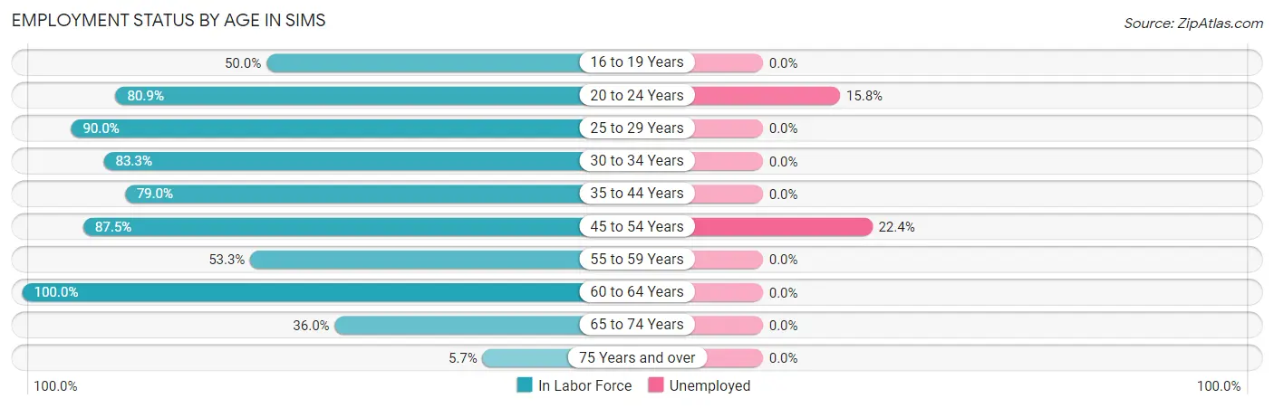 Employment Status by Age in Sims