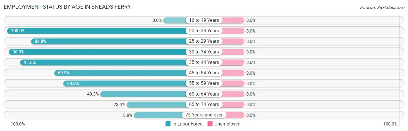 Employment Status by Age in Sneads Ferry