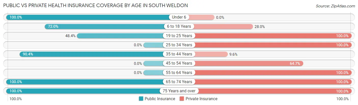 Public vs Private Health Insurance Coverage by Age in South Weldon