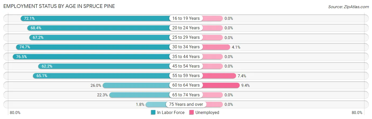 Employment Status by Age in Spruce Pine
