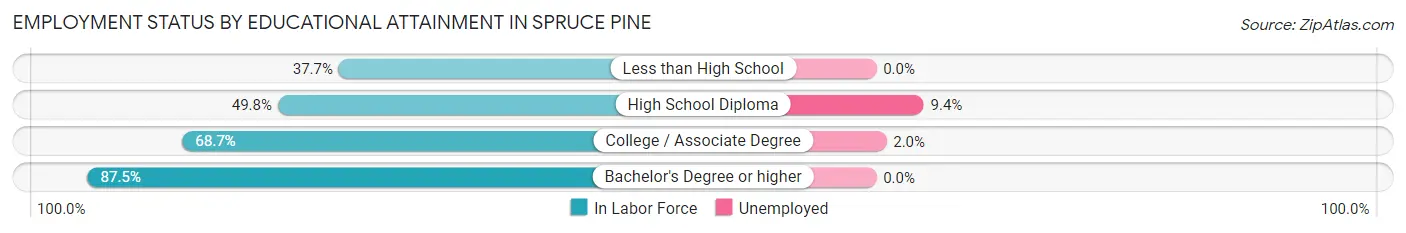 Employment Status by Educational Attainment in Spruce Pine