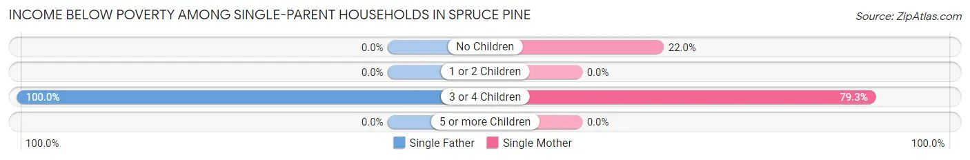 Income Below Poverty Among Single-Parent Households in Spruce Pine