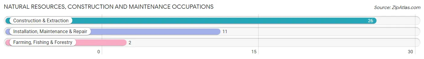 Natural Resources, Construction and Maintenance Occupations in St Helena