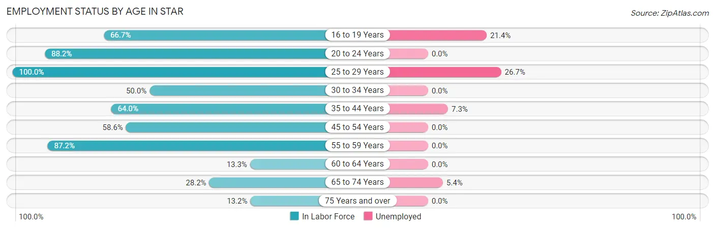 Employment Status by Age in Star
