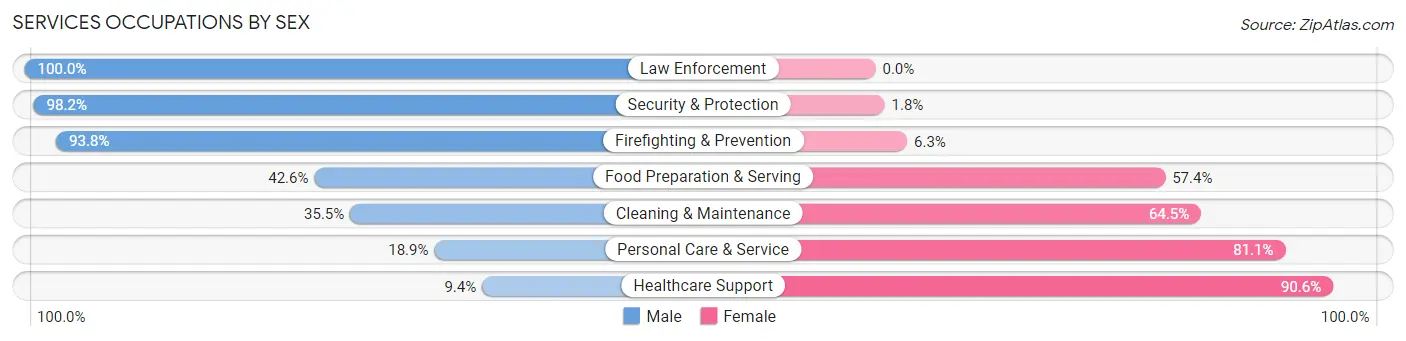 Services Occupations by Sex in Statesville