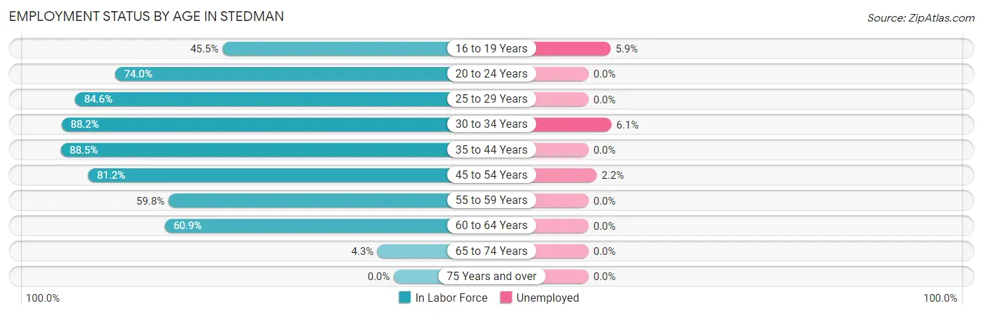Employment Status by Age in Stedman