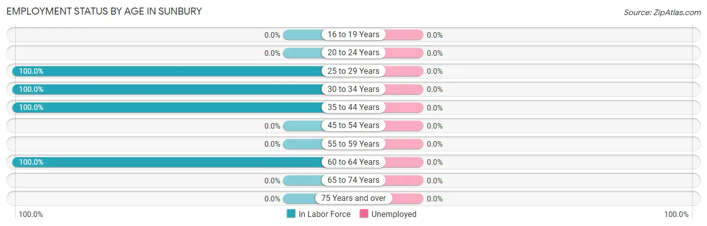 Employment Status by Age in Sunbury