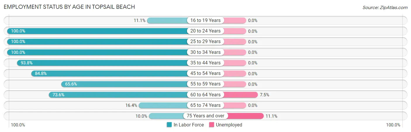 Employment Status by Age in Topsail Beach