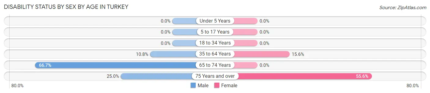 Disability Status by Sex by Age in Turkey