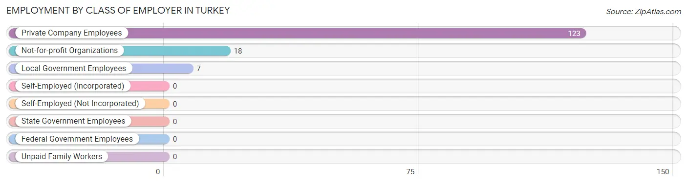 Employment by Class of Employer in Turkey