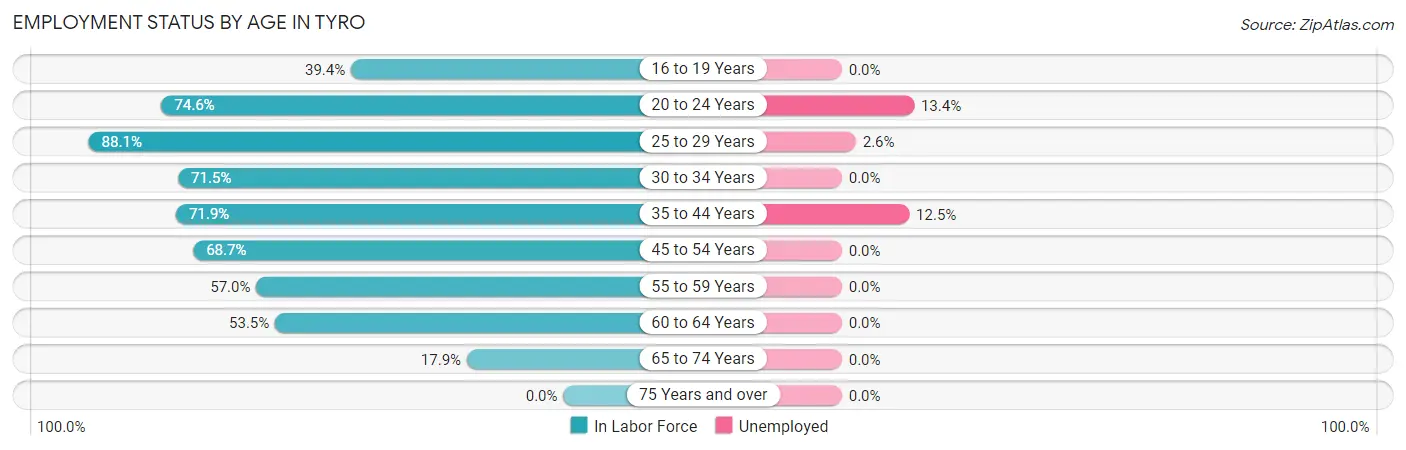 Employment Status by Age in Tyro