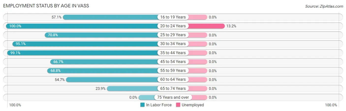 Employment Status by Age in Vass