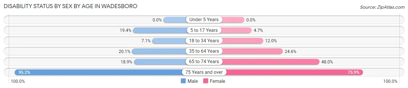 Disability Status by Sex by Age in Wadesboro