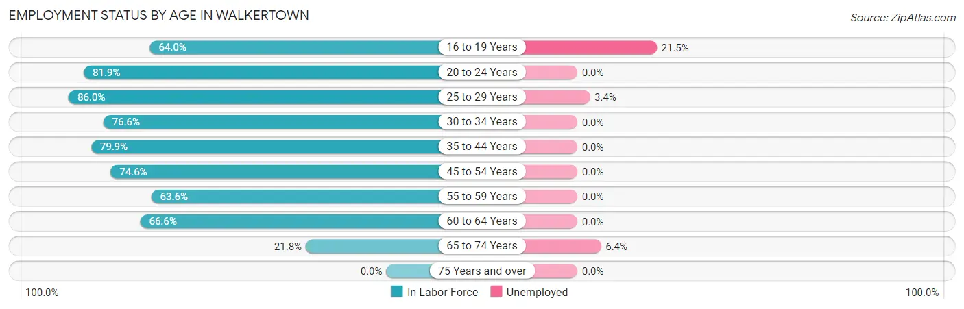 Employment Status by Age in Walkertown