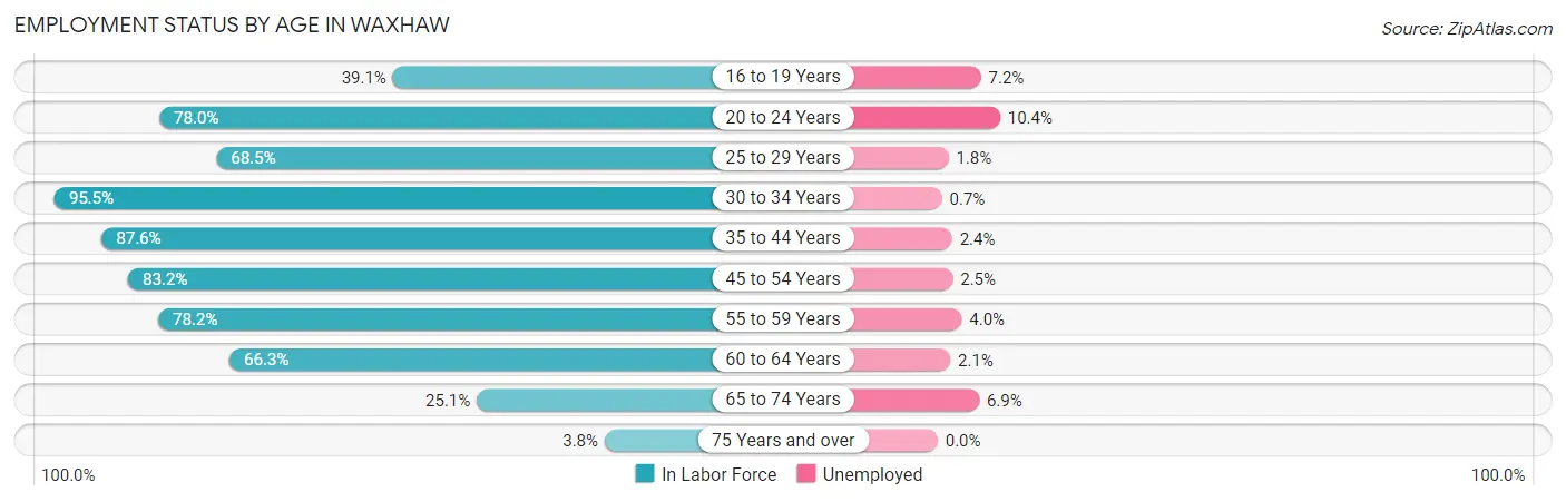 Employment Status by Age in Waxhaw