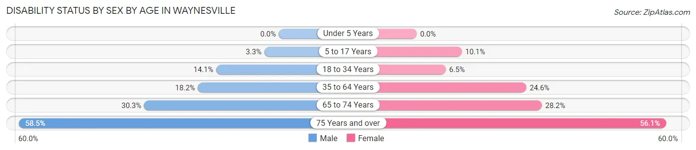 Disability Status by Sex by Age in Waynesville