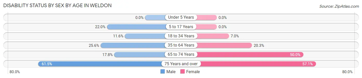 Disability Status by Sex by Age in Weldon