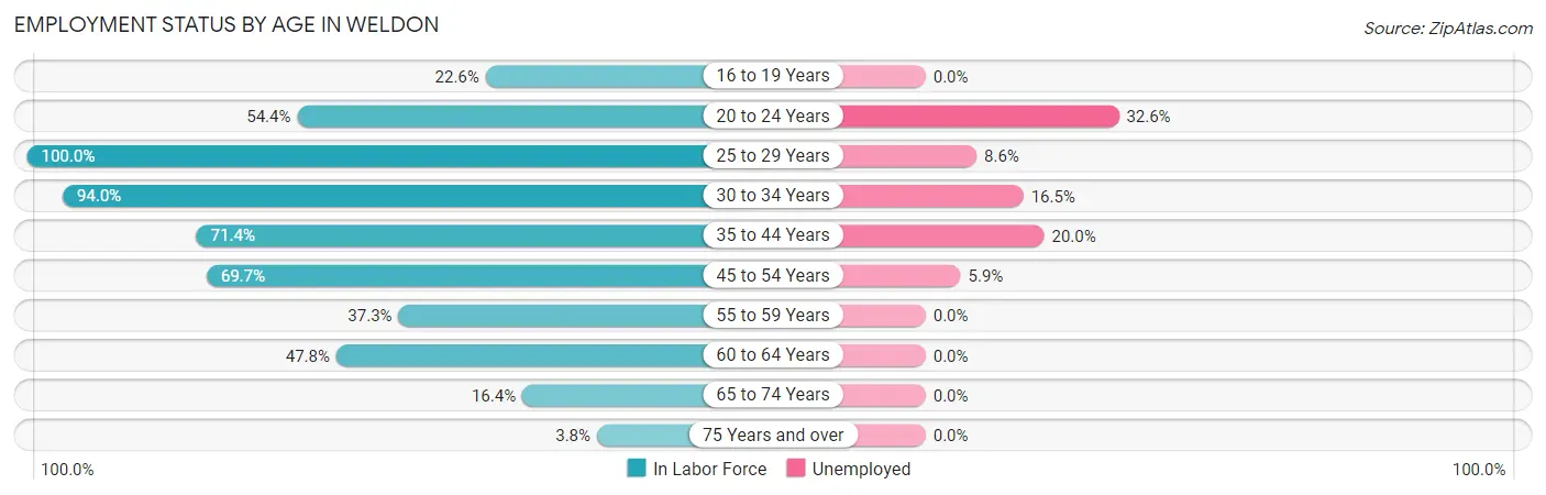 Employment Status by Age in Weldon