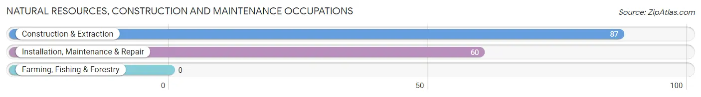 Natural Resources, Construction and Maintenance Occupations in Wentworth