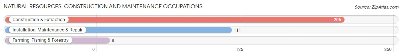 Natural Resources, Construction and Maintenance Occupations in Wesley Chapel