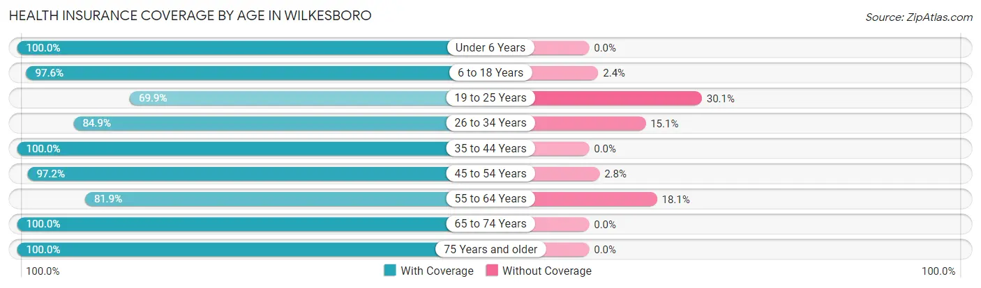 Health Insurance Coverage by Age in Wilkesboro