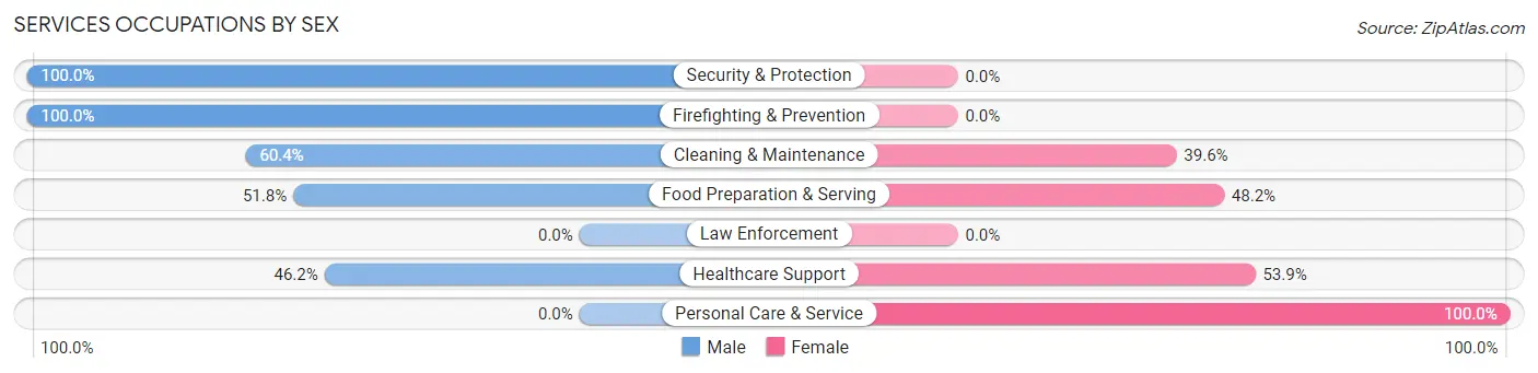 Services Occupations by Sex in Wilkesboro