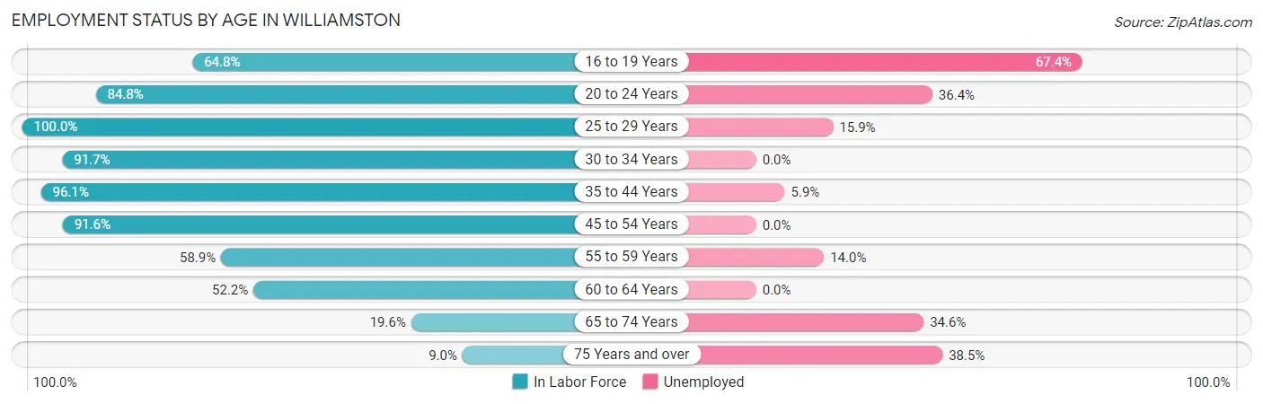 Employment Status by Age in Williamston