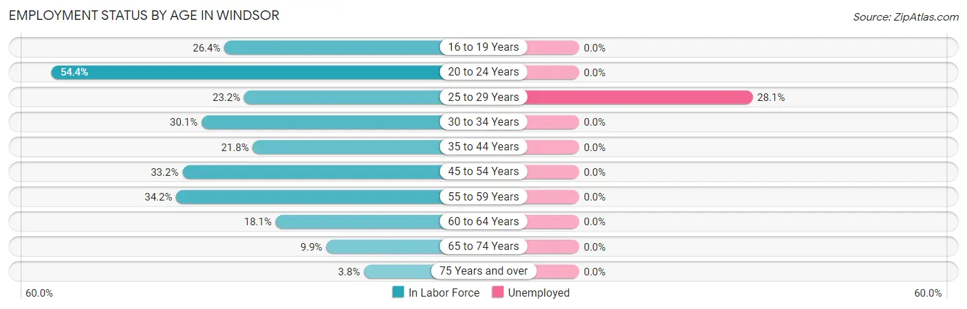 Employment Status by Age in Windsor