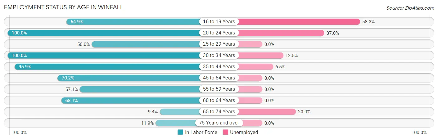 Employment Status by Age in Winfall
