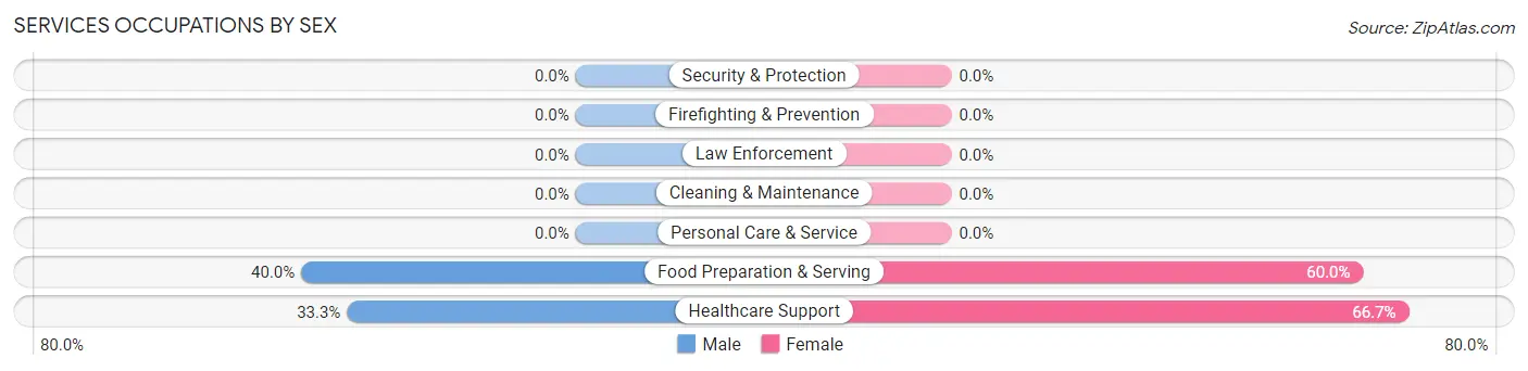 Services Occupations by Sex in Almont