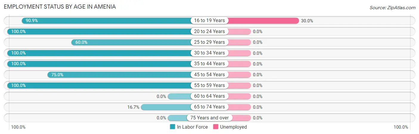 Employment Status by Age in Amenia