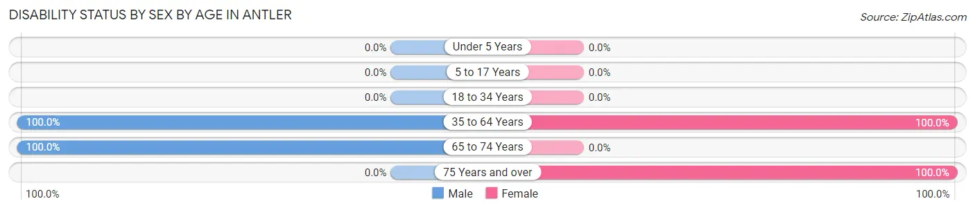 Disability Status by Sex by Age in Antler
