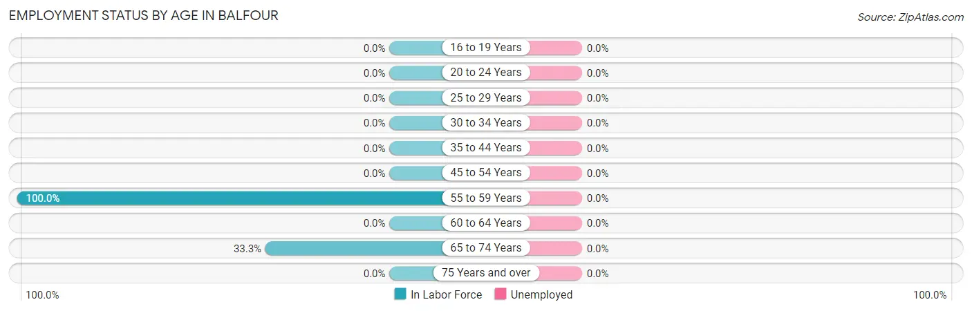 Employment Status by Age in Balfour