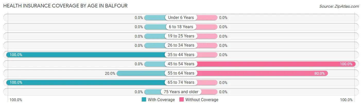 Health Insurance Coverage by Age in Balfour