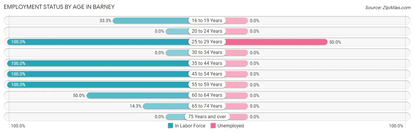 Employment Status by Age in Barney
