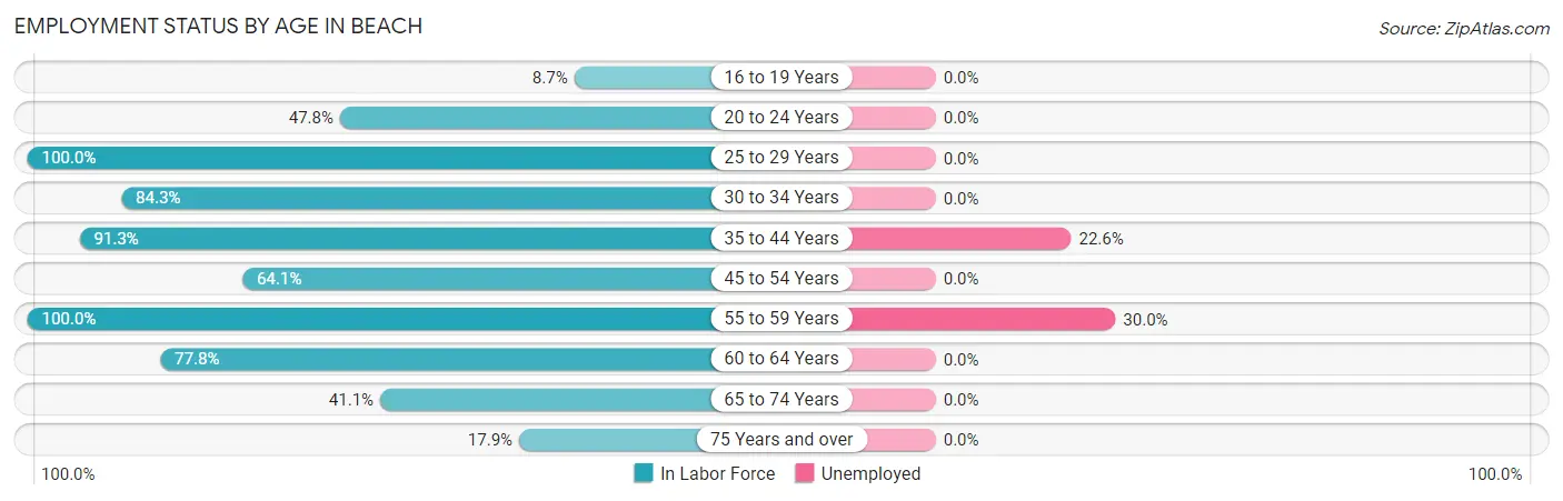 Employment Status by Age in Beach