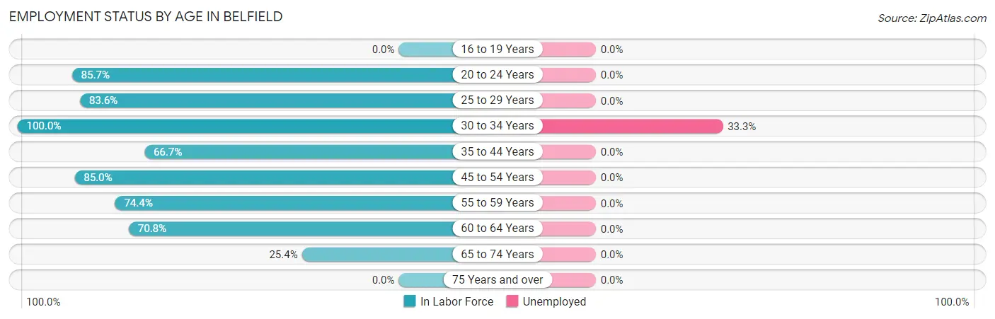Employment Status by Age in Belfield