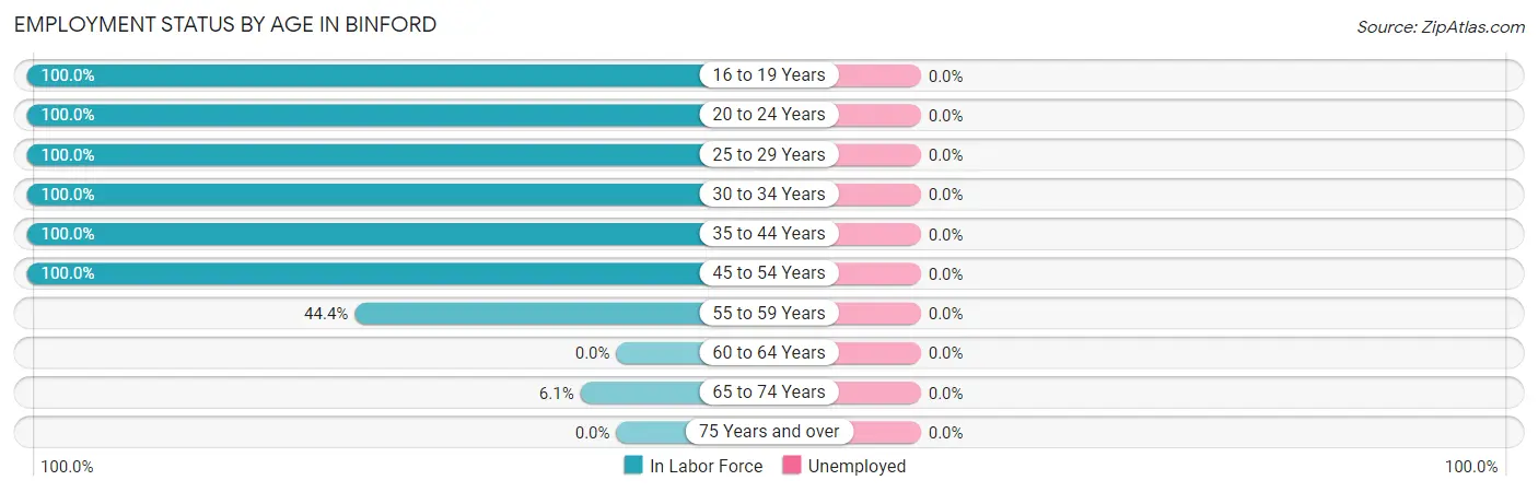 Employment Status by Age in Binford