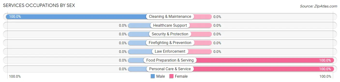 Services Occupations by Sex in Binford