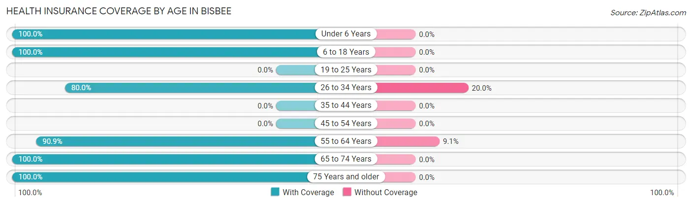 Health Insurance Coverage by Age in Bisbee