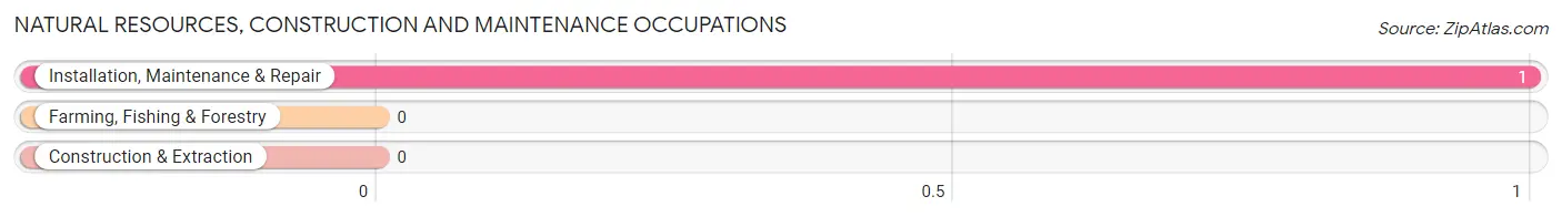 Natural Resources, Construction and Maintenance Occupations in Bisbee